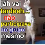 Figurinha de Memes Brasileiros para WhatsApp