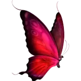 Figurinha de Animais para WhatsApp