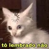 Gatos WhatsApp sticker