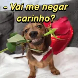 Figurinha para WhatsApp