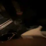 Figurinha para WhatsApp