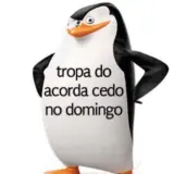 Figurinha de Memes Brasileiros para WhatsApp