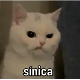Figurinha para WhatsApp