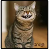 Figurinha de Gatos para WhatsApp