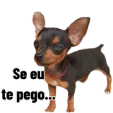 Figurinha de Cachorros para WhatsApp