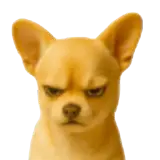 Figurinha de Cachorros para WhatsApp