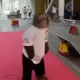 Figurinha de Memes para WhatsApp