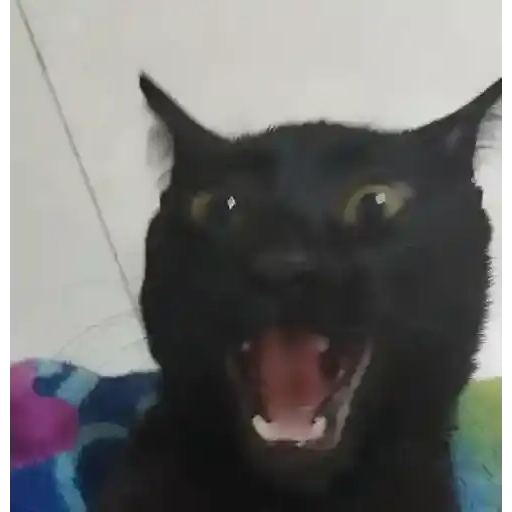 Coletadas sticker 362