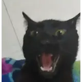 Figurinha para WhatsApp