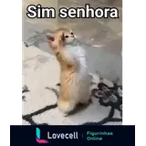 WhatsApp sticker