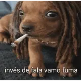 Figurinha de Memes Brasileiros para WhatsApp