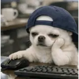 Figurinha para WhatsApp