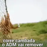 Sticker de Memes Brasileiros para WhatsApp