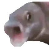 Figurinha de Memes para WhatsApp