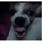 Sticker para WhatsApp