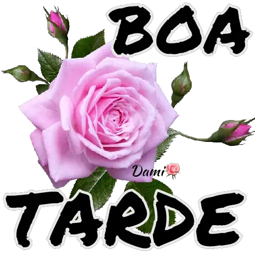 Coletadas sticker 24709