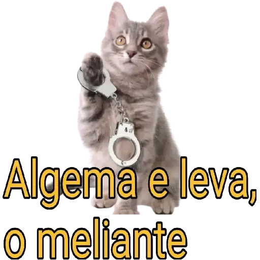 Figurinha para WhatsApp — Memes Brasileiros