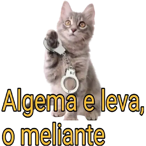 Coletadas sticker 5813