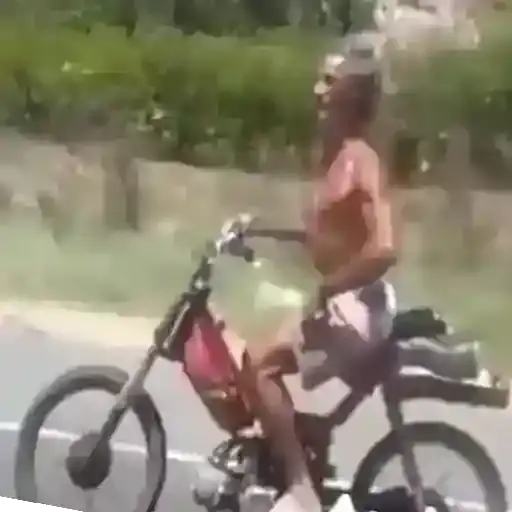 Coletadas sticker 980