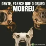 Figurinha de Memes Brasileiros para WhatsApp