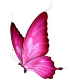 Sticker de Animais para WhatsApp