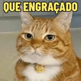Figurinha de Memes Brasileiros para WhatsApp