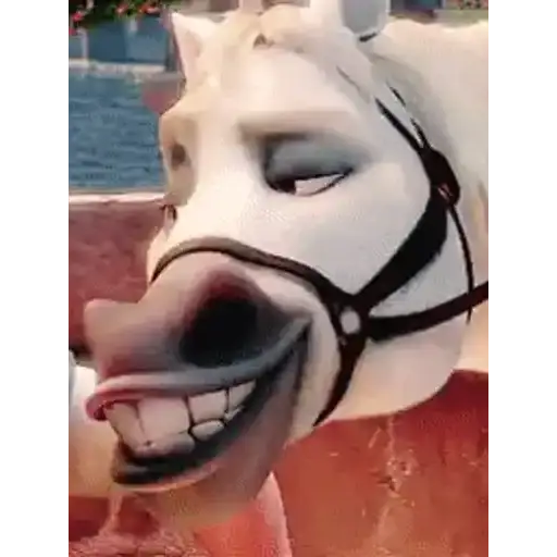 Coletadas sticker 888