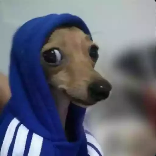 Figurinha para WhatsApp — Cachorros