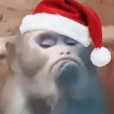 Feriados WhatsApp sticker