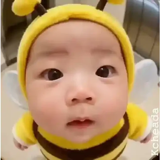 Figurinha para WhatsApp — Animais