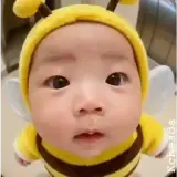 Figurinha de Animais para WhatsApp