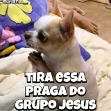 Figurinha de Memes Brasileiros para WhatsApp