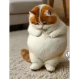 Figurinha para WhatsApp
