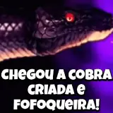 Figurinha de Memes Brasileiros para WhatsApp