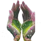 Figurinha para WhatsApp
