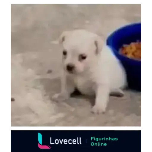 Coletadas sticker 33374