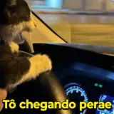 Figurinha de Memes Brasileiros para WhatsApp