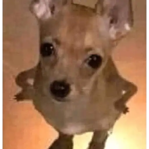 Coletadas sticker 419