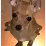 Figurinha para WhatsApp