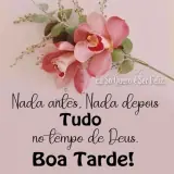 Figurinha para WhatsApp
