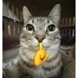 Figurinha para WhatsApp