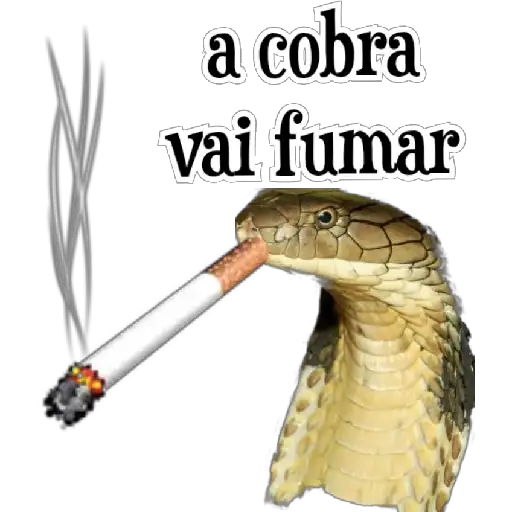 Coletadas sticker 6499