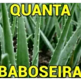 Figurinha de Comida para WhatsApp