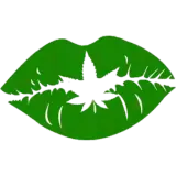 Sticker de Memes para WhatsApp