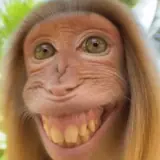 Figurinha de Memes para WhatsApp