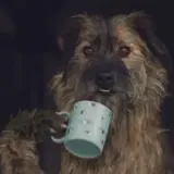 Figurinha de Cachorros para WhatsApp