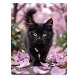 Figurinha de Animais para WhatsApp