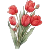 Figurinha para WhatsApp