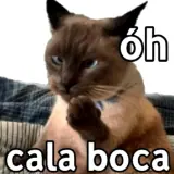 Figurinha de Gatos para WhatsApp