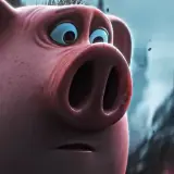 Figurinha de Animais para WhatsApp